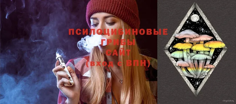 Псилоцибиновые грибы Psilocybe  Чехов 